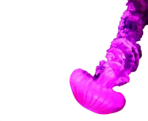 medusa rosa